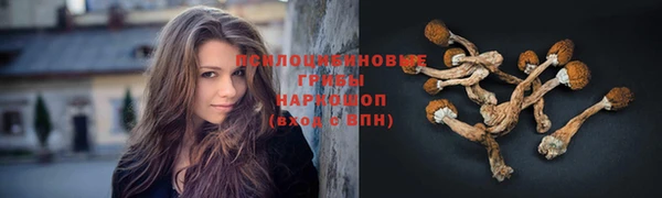 спиды Новокубанск