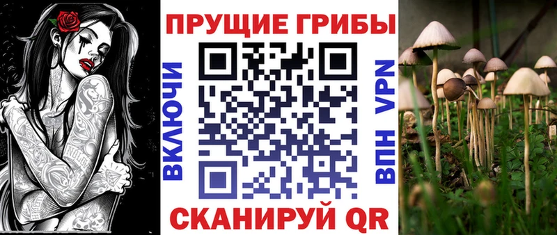 blacksprut ONION  Нюрба  Псилоцибиновые грибы MAGIC MUSHROOMS 